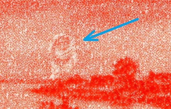 C in the sky detail